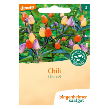 Saatgut Chili Lila Luzi