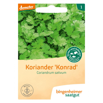 Saatgut Koriander