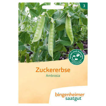 Saatgut Zuckererbse Ambrosia